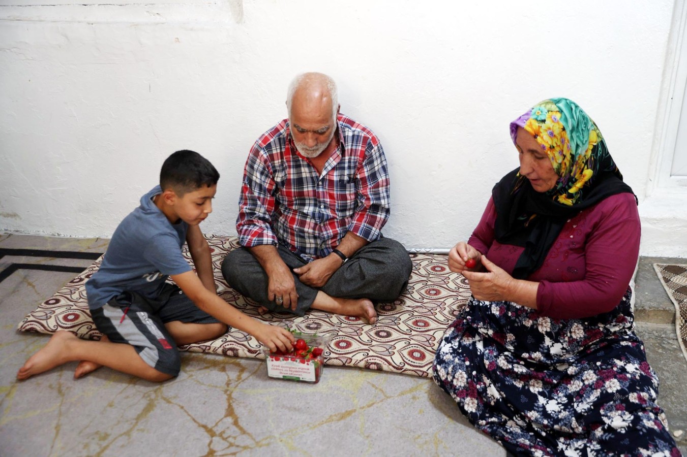 Seradan toplanan çilekler, yaşlılara ikram ediliyor;