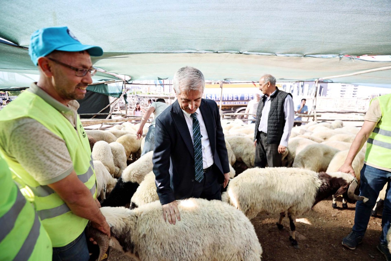 Başkan Tahmazoğlu, kurbanlık fiyatlarını düşürdü;