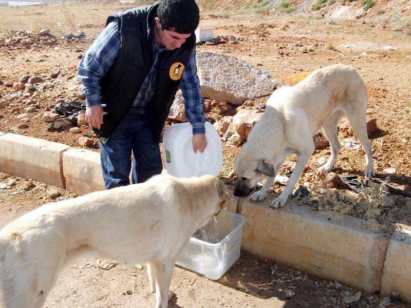 Cahide Vakfı’ndan ölüm yasasına tepki