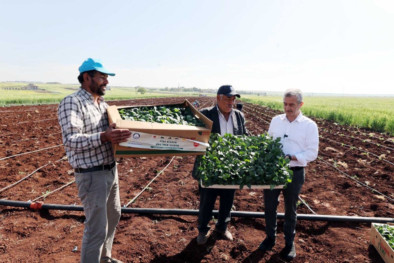 Başkan çiftçilerle birlikte fide dikti;