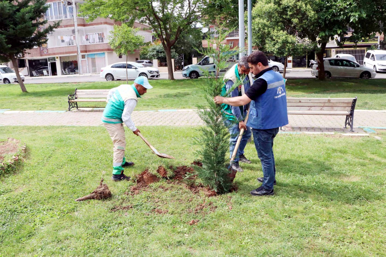 Peyzaj çalışması ile parklar güzelleşiyor;