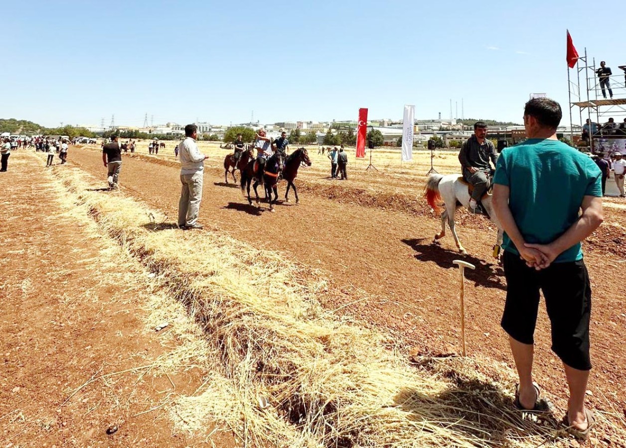 Gaziantep’te geleneksel Rahvan at yarışları düzenlendi;